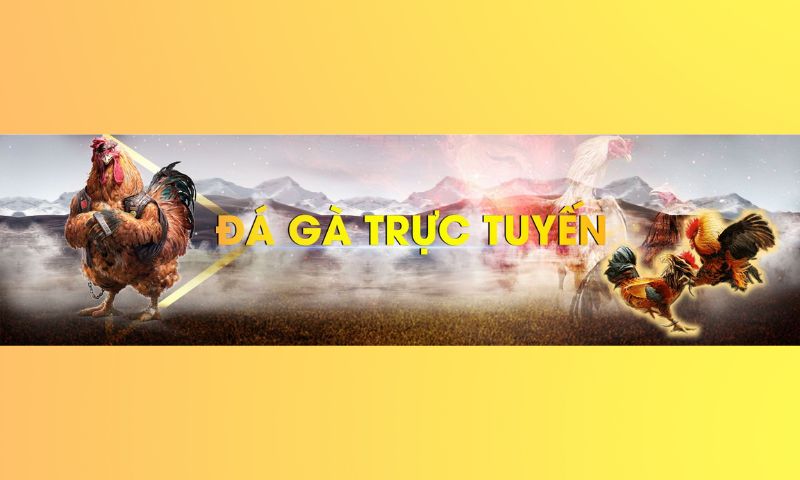 Luật chơi game đá gà trực tiếp tại chính nhà cái Mu88